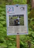 16. Int. Dolomitenturnier Tag1 2018 Bild 90