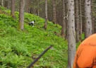 16. Int. Dolomitenturnier Tag1 2018 Bild 95