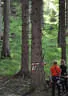 16. Int. Dolomitenturnier Tag2 2018 Bild 17