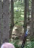 16. Int. Dolomitenturnier Tag2 2018 Bild 2