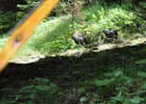 16. Int. Dolomitenturnier Tag2 2018 Bild 23