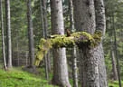 16. Int. Dolomitenturnier Tag2 2018 Bild 78