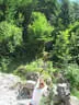 TLM/TM Absam 2018 Bild 22