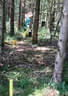 TLM/TM Absam 2018 Bild 15