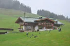 13. Saalfeldener Blattlturnier 2018 Bild 27