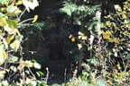 29. Jochberger Jagdbogenturnier 2018 Bild 69