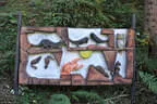 29. Jochberger Jagdbogenturnier 2018 Bild 82