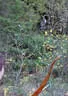 29. Jochberger Jagdbogenturnier 2018 Bild 81