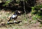 11. Iseltalturnier 2019 Bild 99