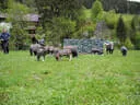 15. Glemmerhofturnier 2019 Bild 124