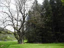 15. Glemmerhofturnier 2019 Bild 144