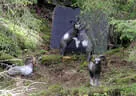15. Glemmerhofturnier 2019 Bild 145