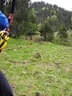 15. Glemmerhofturnier 2019 Bild 95