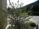 17. Dolomitenturnier 2019 Bild 9