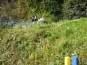 Salzburger LM 2019 Bild 52