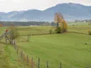 5erl Bowfire Schörhof 2019 Bild 92