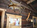 5. Primbogenturnier Rauris 2020 Bild 9