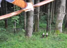 10 Jahre BSV Oberkrammern 2020 Bild 75