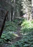 BSU St. Veit 2020 Bild 34