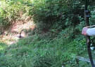 5erl BSC Pointenhof 2020 Bild 14