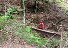 5erl BSC Pointenhof 2020 Bild 28