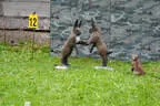 BSV Glemmerhof 2022 Bild 36