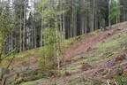 BSV Glemmerhof 2022 Bild 53