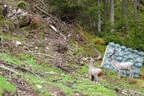 BSV Glemmerhof 2022 Bild 69
