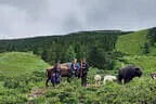 Vereinsausflug Planneralm Bild 5