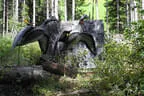 10. Turnier der BSU St. Veit 2022 Bild 37