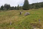 Vereinsturnier 2022 Bild 30