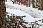 19. Flachgauer Winterturnier 2023 Bild 8