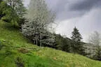 17. Glemmerhofturnier 2023 Bild 29
