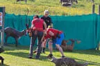 3. Penzing Watschenbachturnier 2023 Bild 18