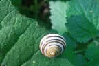 3. Penzing Watschenbachturnier 2023 Bild 7