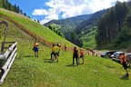 Vereinsausflug Ritten 2023 Bild 12