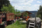 Vereinsausflug Ritten 2023 Bild 120