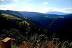 Vereinsausflug Ritten 2023 Bild 232