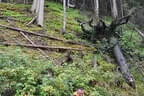 11. Turnier BSU St. Veit 2023 Bild 39
