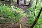 Weberbauerchallenge 2023 Bild 12