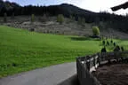 Turnier am Schörhof 2024 Bild 20