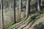 Turnier am Schörhof 2024 Bild 50