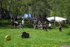 29. Sonnblickturnier 2024 Bild 17