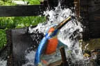 3. Bruggeralmchallenge 2024 Bild 52