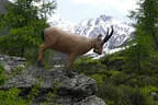 3. Bruggeralmchallenge 2024 Bild 84