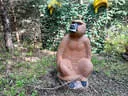 Parcoursumbau Sommer 2024 Bild 19