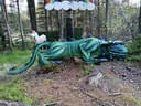 Parcoursumbau Sommer 2024 Bild 26
