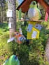 Parcoursumbau Sommer 2024 Bild 28
