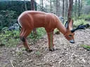 Parcoursumbau Sommer 2024 Bild 29
