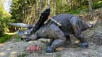 VA 2024 Stoneface Bild 86